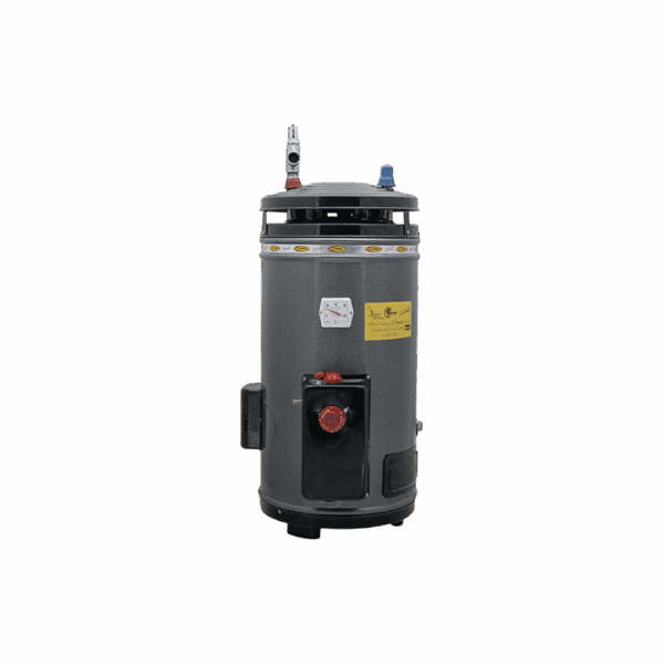 10 Gallon Electric+Gas Water Heater (ES)