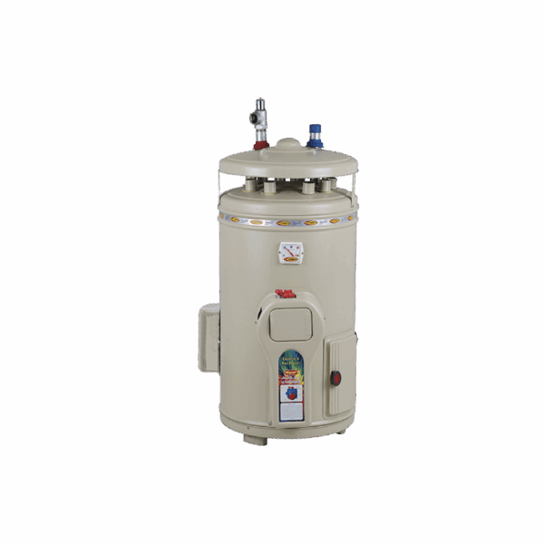 15 Gallon Electric+Gas Water Heater (ES)