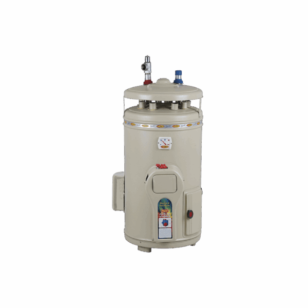 15 Gallon Electric+Gas Water Heater (ES)