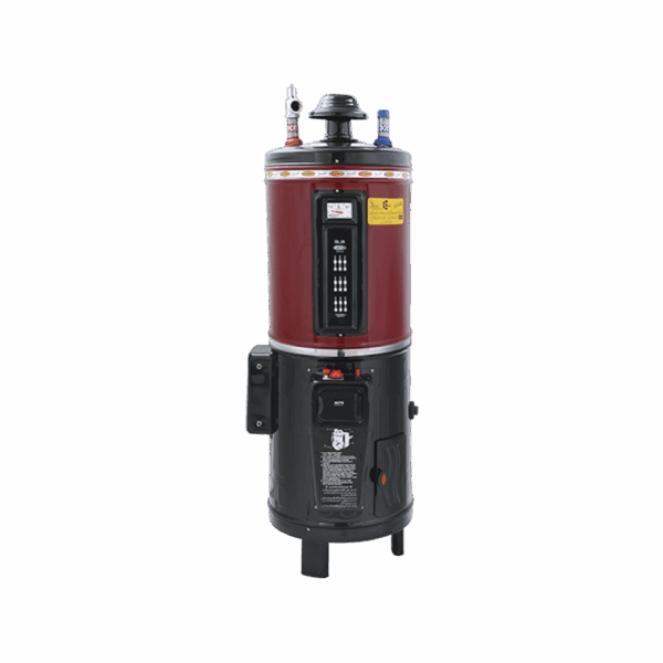 25 Gallon Electric+Gas Water Heater (REG)