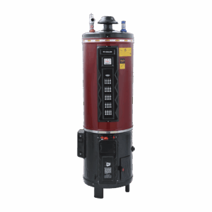 55 Gallon Electric+Gas Water Heater (REG)