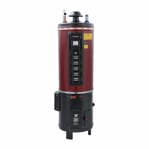 55 Gallon Electric+Gas Water Heater (REG)